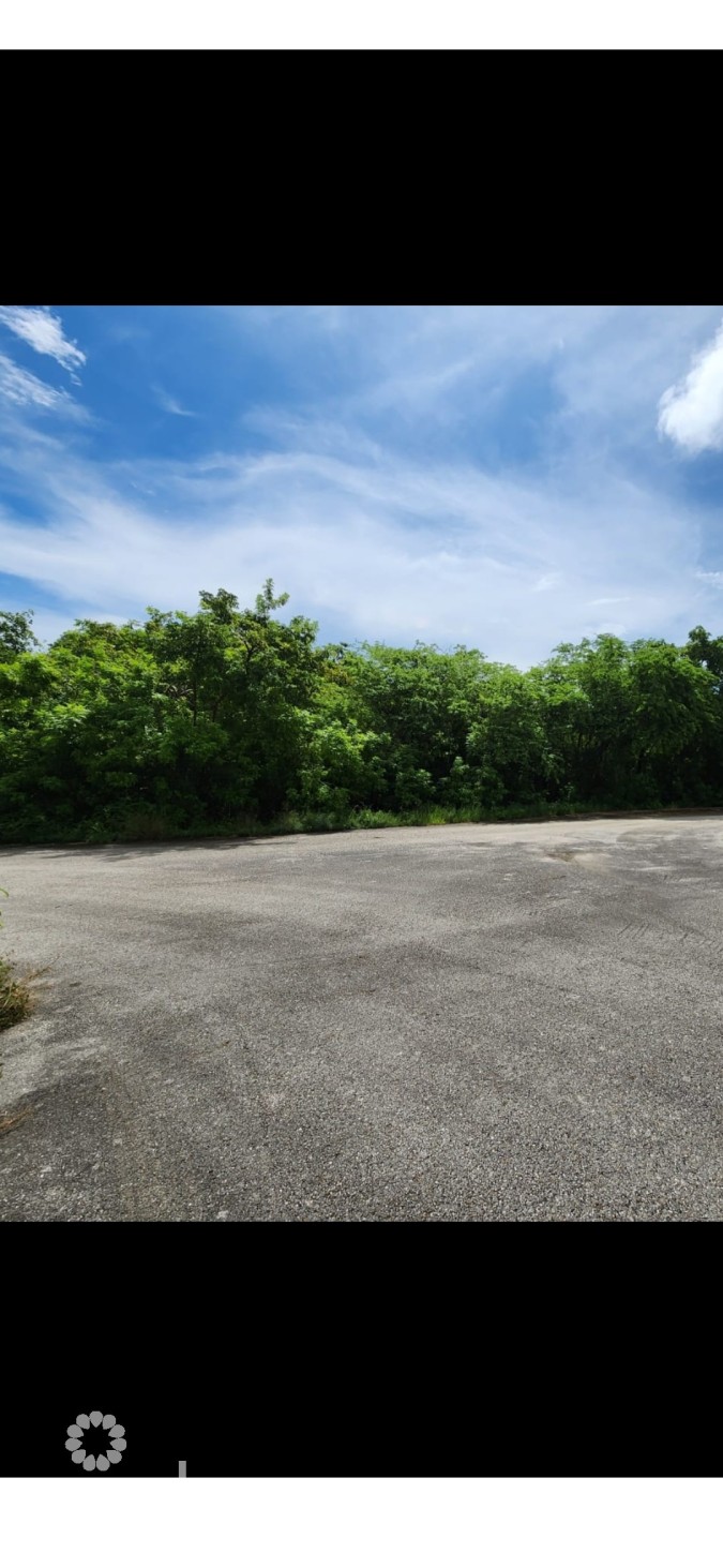 VALLEY GARDENS LAND, HIGH ELEVATION