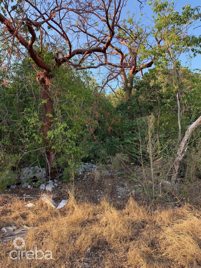 BRAC INLAND PROPERTY WEST END