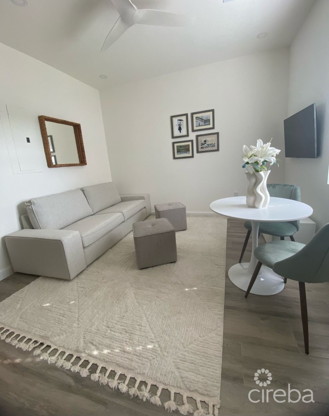 19 NORTH 1 BED RENOVATED WITH LAKE VIEW