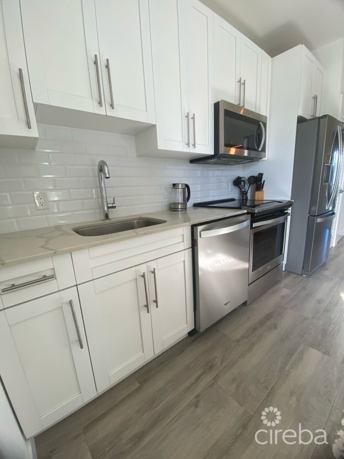 19 NORTH 1 BED RENOVATED WITH LAKE VIEW