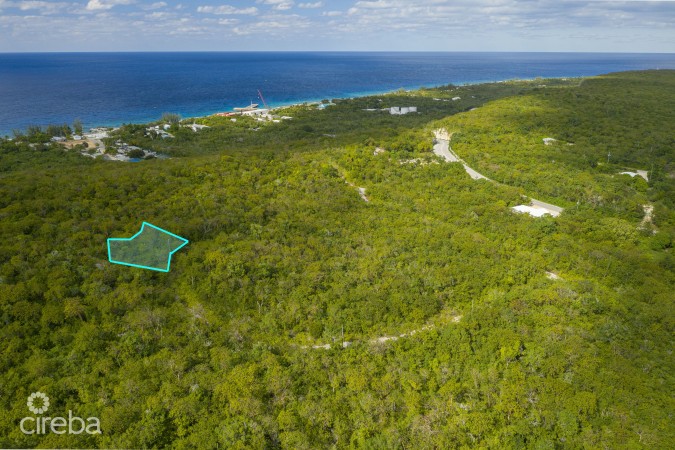 CAYMAN BRAC LAND 229