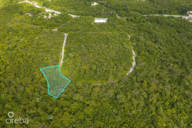 CAYMAN BRAC LAND 229