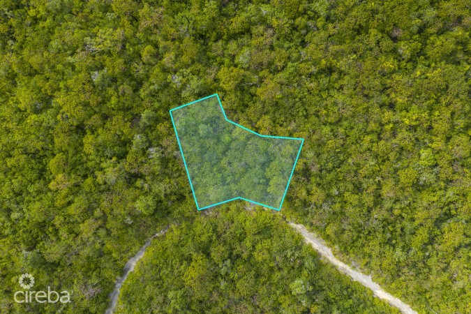 CAYMAN BRAC LAND 229