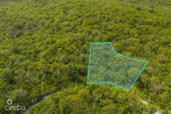 CAYMAN BRAC LAND 229