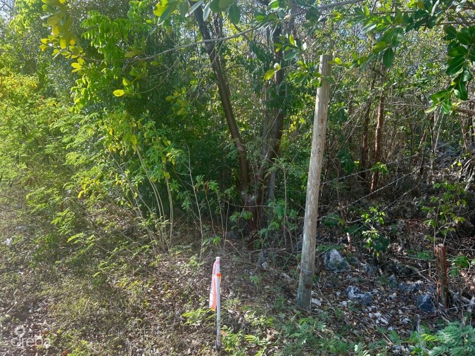 BLUFF LOT WITH FANTASTIC VIEWS