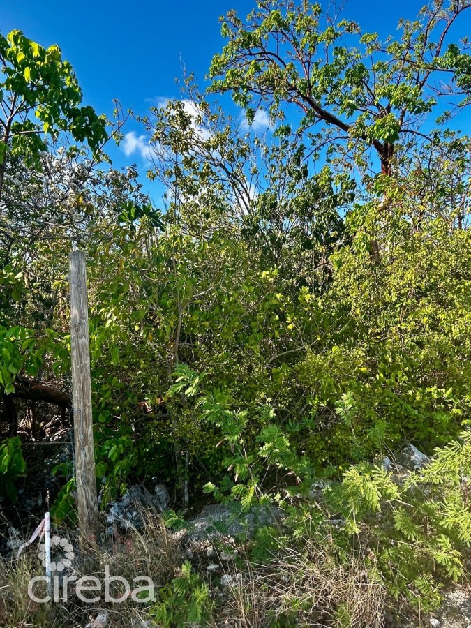 BLUFF LOT WITH FANTASTIC VIEWS