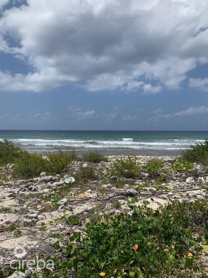 NORTHSIDE OCEAN FRONT AND INLAND PROPERTY