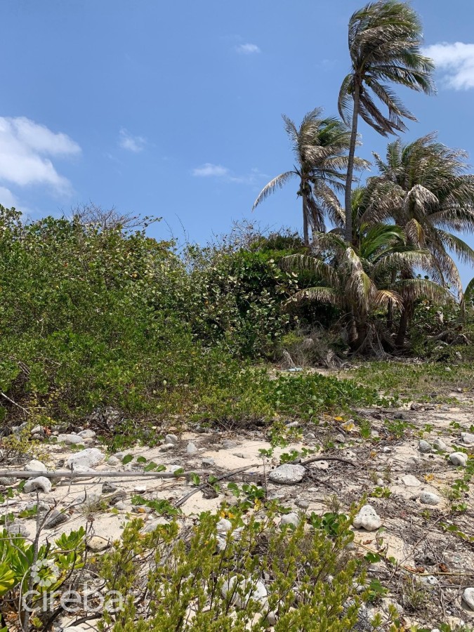 NORTHSIDE OCEAN FRONT AND INLAND PROPERTY