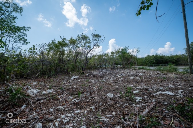 CAYMAN BRAC LAND, RYAN DR.