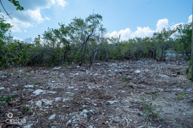CAYMAN BRAC LAND, RYAN DR.
