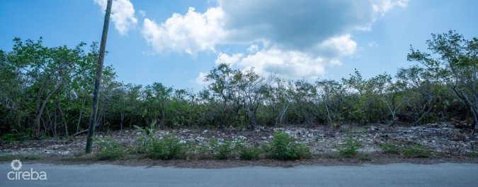 CAYMAN BRAC LAND, RYAN DR.