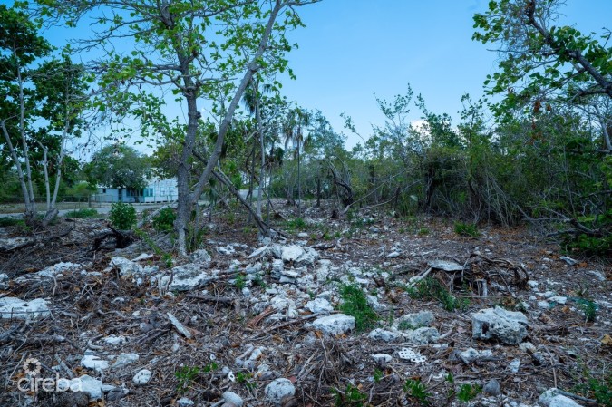 CAYMAN BRAC LAND, RYAN DR.