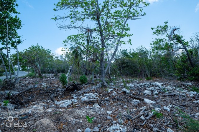 CAYMAN BRAC LAND, RYAN DR.