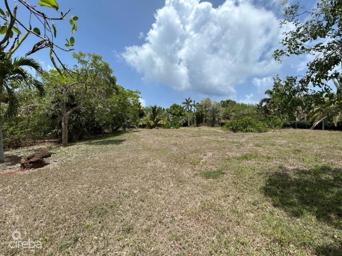 .46 ACRE LOT - FILLED & WELL-MAINTAINED  - LOWER VALLEY