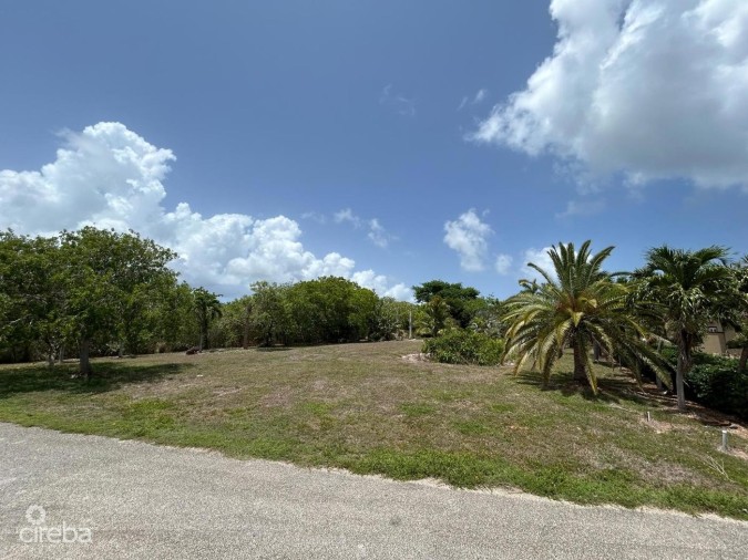 .46 ACRE LOT - FILLED & WELL-MAINTAINED  - LOWER VALLEY