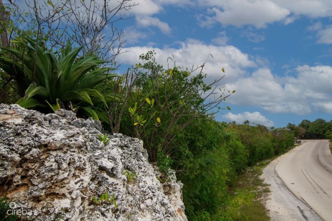 77 POLACK DRIVE, BRAC LAND