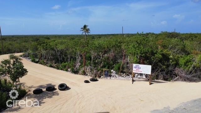 BLUFF LAND - CAYMAN BRAC EAST - LOT #9