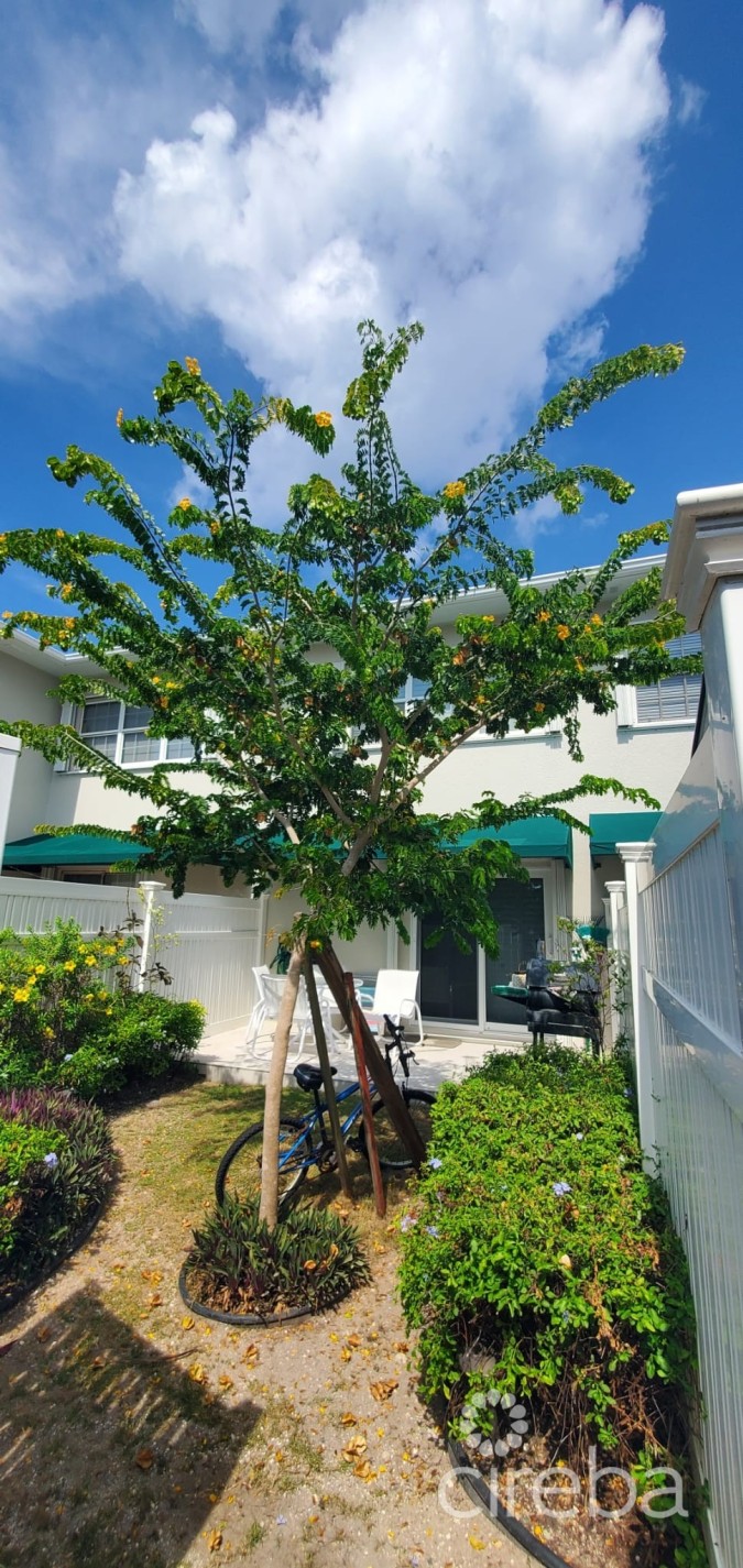 SOUTH PALMS FULLY RENOVATED 2 BED