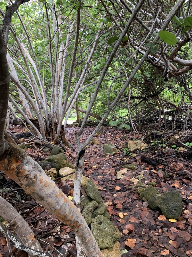 SOON COME - SOUTH SIDE EAST OCEAN FRONT LAND