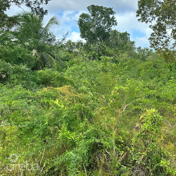 OVERSIZED HOUSE LOT, SERENITY LANE, FRANK SOUND ROAD