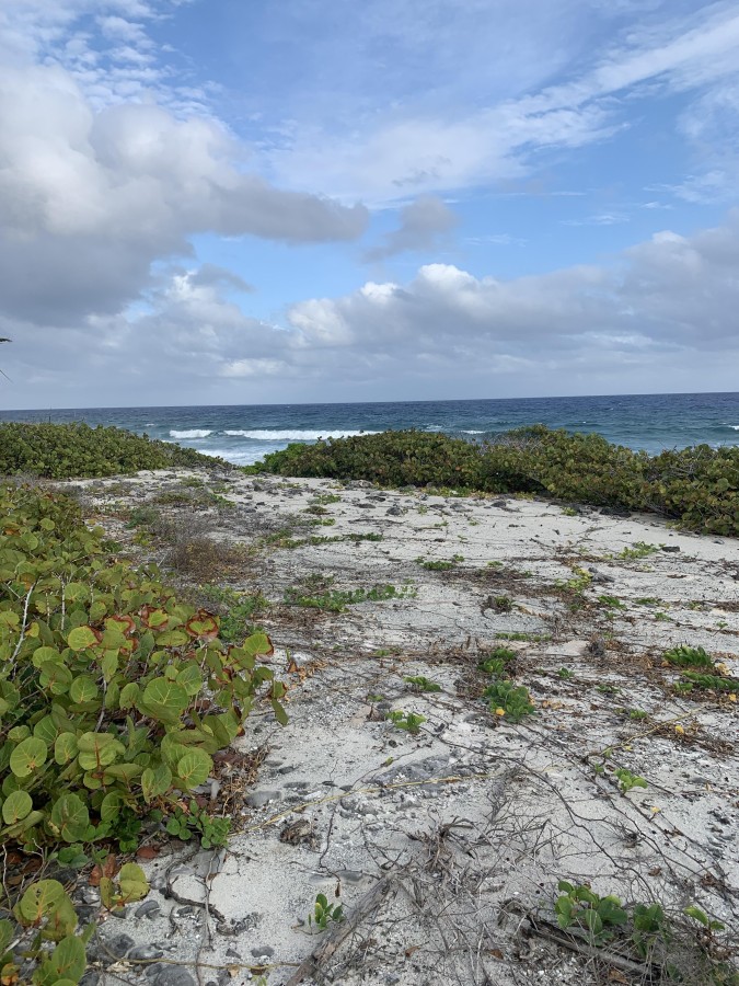 SOUTH SIDE OCEAN FRONT LAND