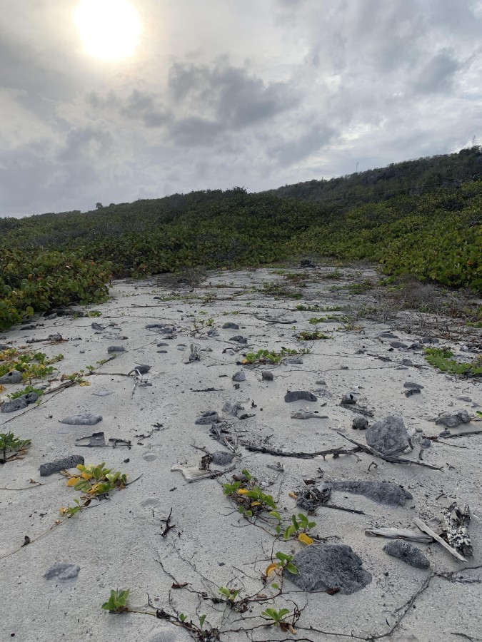 SOUTH SIDE OCEAN FRONT LAND