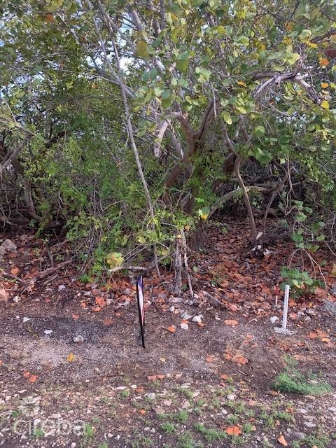 SOUTH SIDE OCEAN FRONT LAND