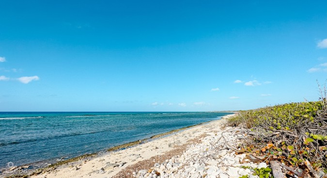 OCEANFRONT LAND LITTLE CAYMAN 