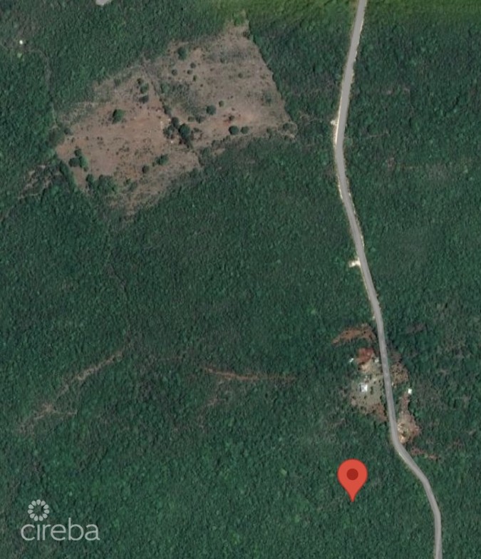 20 ACRES BRAC BLUFF LAND