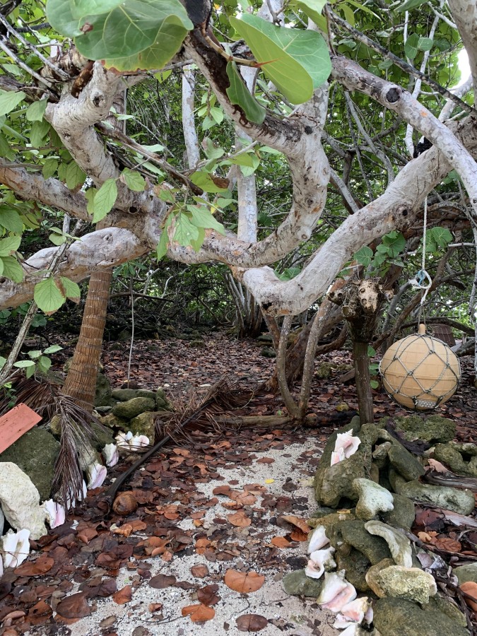 SOON COME - SOUTH SIDE EAST OCEAN FRONT LAND