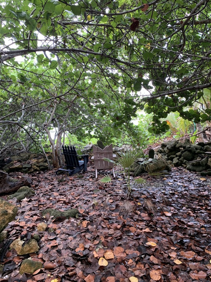 SOON COME - SOUTH SIDE EAST OCEAN FRONT LAND