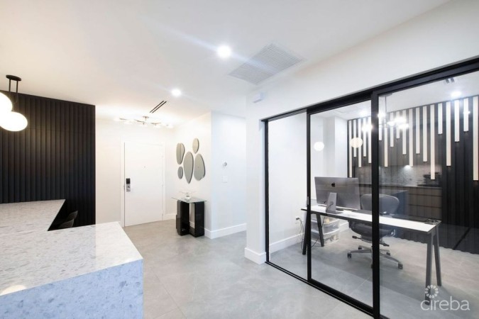 RITZ CARLTON RESIDENCES #509