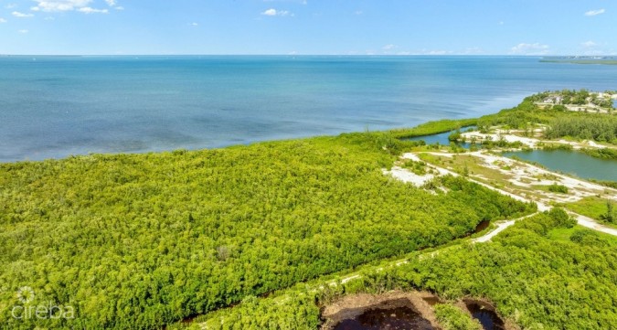 1.2 ACRE LOW DENSITY PARCEL