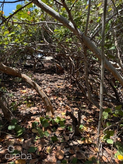 PRE-CONSTRUCTED SEAGLASS VILLA OCEANFRONT LAND