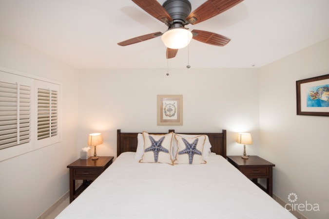 DISCOVERY POINT CLUB  #42