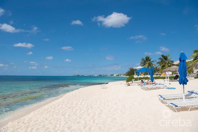 DISCOVERY POINT CLUB  #42