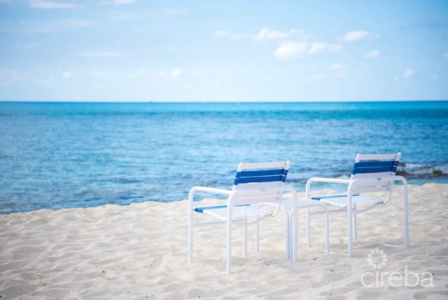 DISCOVERY POINT CLUB  #42