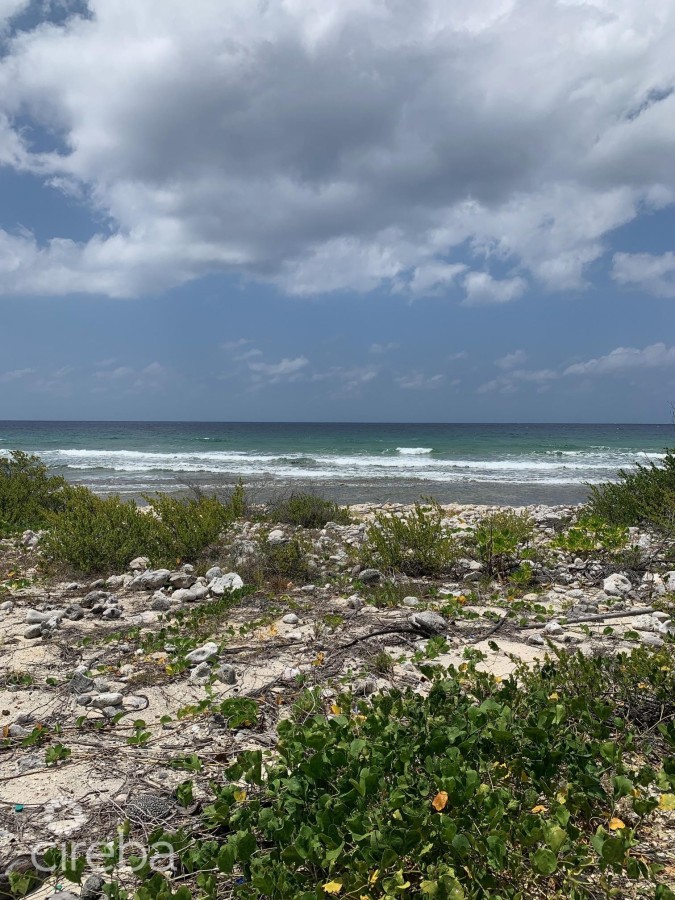 NORTHSIDE OCEAN FRONT AND INLAND PROPERTY