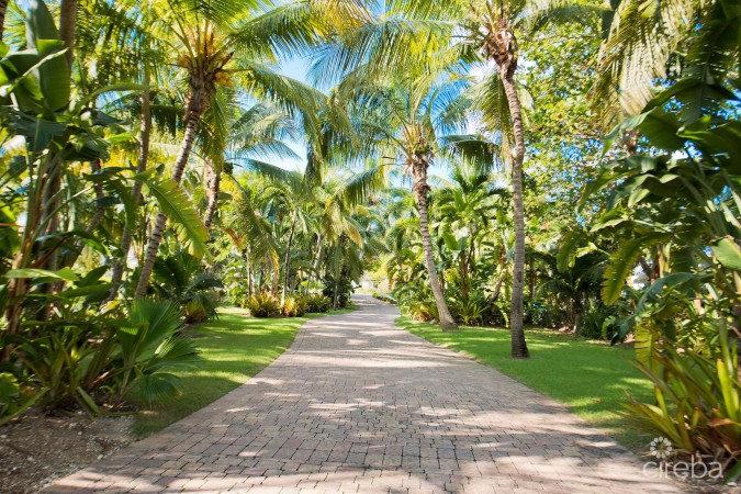 COCONUT WALK -  SEVEN MILE BEACH ESTATE