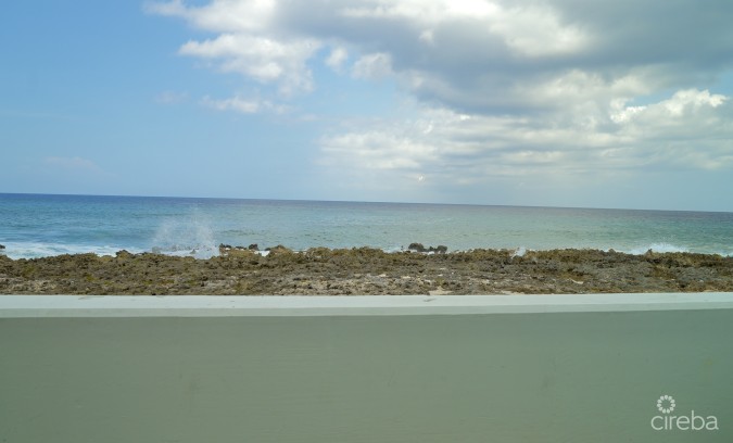 WINDSOR VILLAGE APT. 30