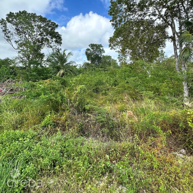 OVERSIZED HOUSE LOT, SERENITY LANE, FRANK SOUND ROAD