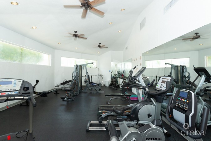 SOUTHAMPTON GARDENS #1