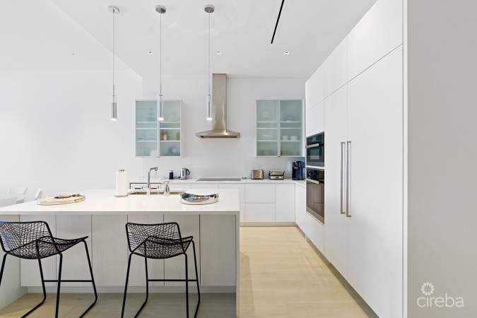 PINNACLE #34 PENTHOUSE WITH GARAGE