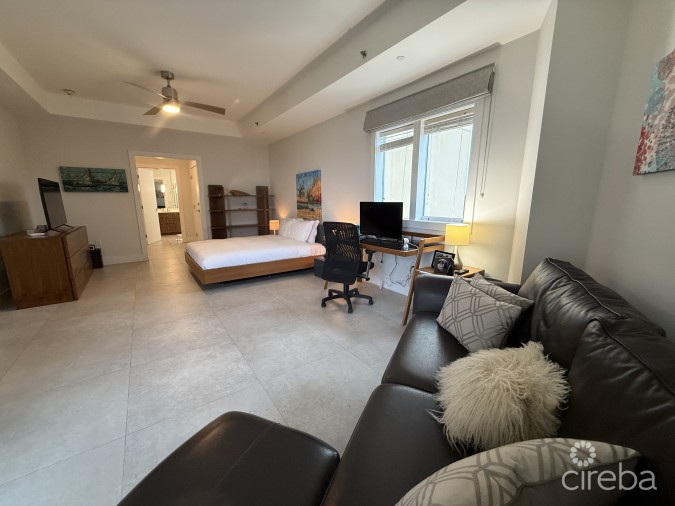 RITZ - CARLTON PRIVATE RESIDENCE #501