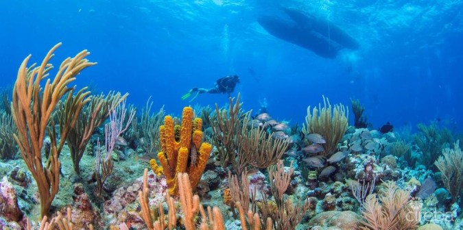 CASTAWAY COVE GROUND FLOOR INCOME PRODUCER