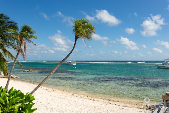 CARIB SANDS, BEACHFRONT LIVING CAYMAN BRAC