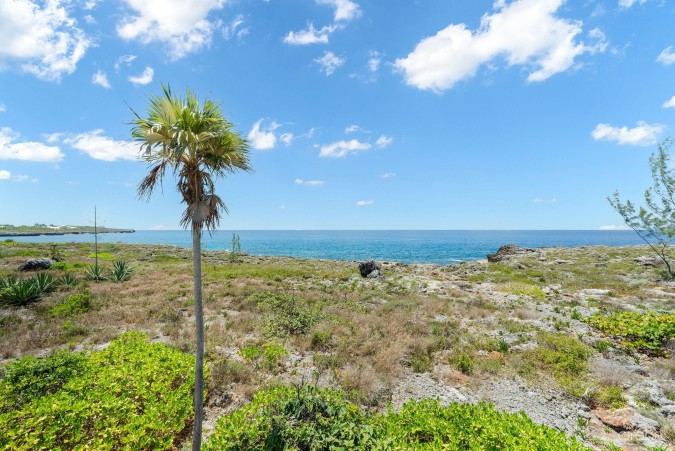 SAVANNAH OCEANFRONT 3 ACRE ESTATE