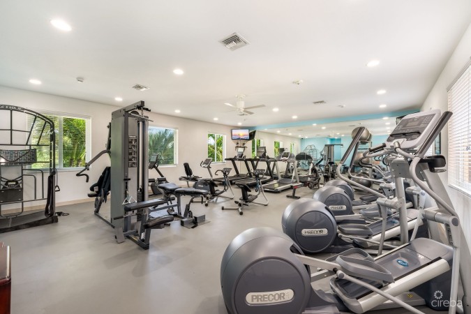 RENAISSANCE PENTHOUSE  SEVEN MILE BEACH