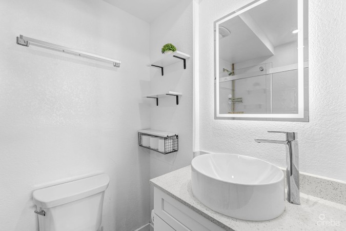 SPRINGFIELD COURTS - 2 BR 2.5 BATH - NEWLY REMODLED - PRISTINE INTERIOR AND FANTASTIC LOCATION!