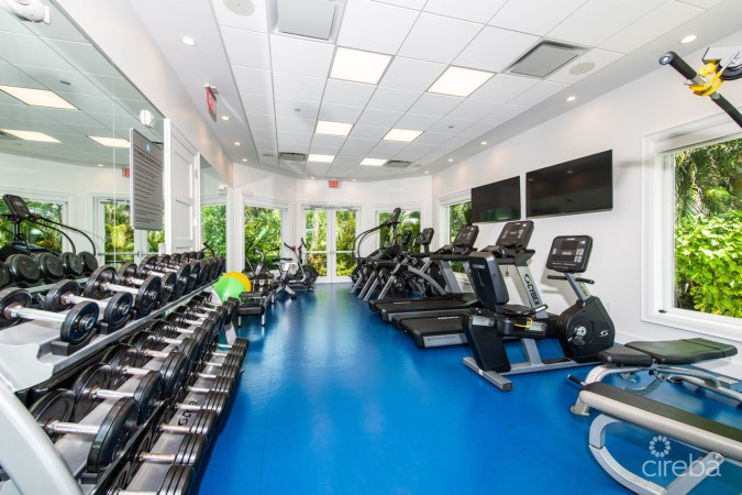 STONE ISLAND PHASE II - UNIT 1103 ASSIGNMENT